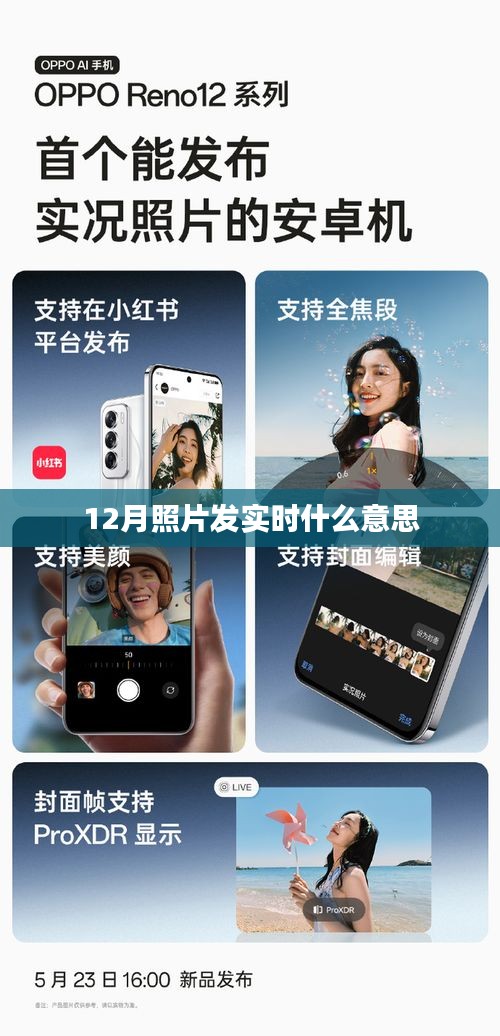 實時分享，揭秘十二月照片發(fā)實時背后的故事。