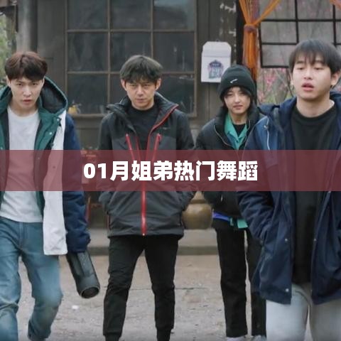 熱門舞蹈，一月姐弟熱舞盤點(diǎn)