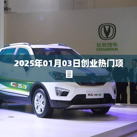 2025年創(chuàng)業(yè)熱門(mén)項(xiàng)目揭秘，把握未來(lái)商機(jī)