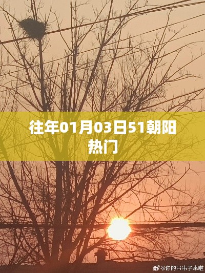 朝陽地區(qū)歷年元旦后熱門事件回顧