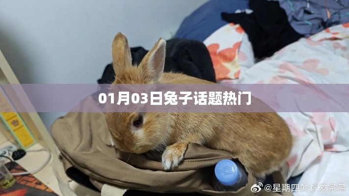 堂而皇之 第3頁