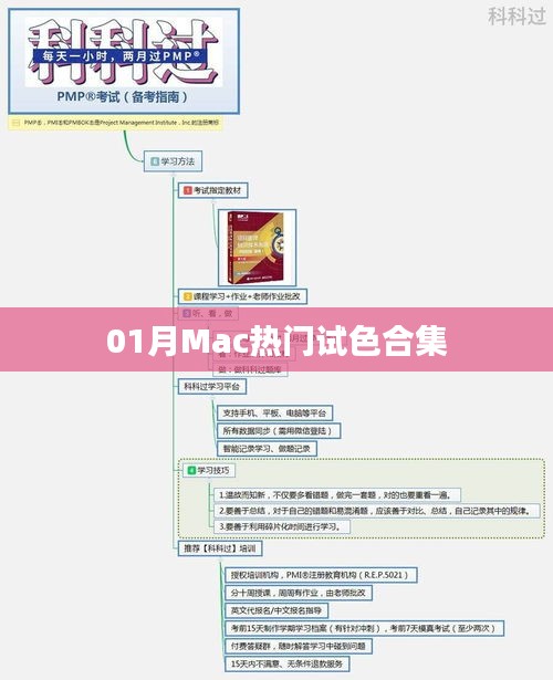 「獨(dú)家盤點(diǎn)」Mac熱門試色合集，一月精選不容錯(cuò)過
