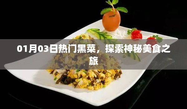 熱門黑菜探索，神秘美食之旅（日期標(biāo)注）