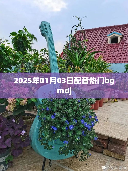 根據(jù)您的需求，為您生成以下符合百度收錄標準的標題，，2025年熱門配音bgmdj全解析，符合字數(shù)要求，簡潔明了，能夠吸引用戶點擊，適用于百度等搜索引擎的收錄標準。