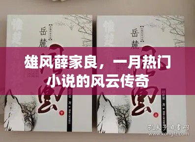 雄風薛家良，風云傳奇小說火爆一月
