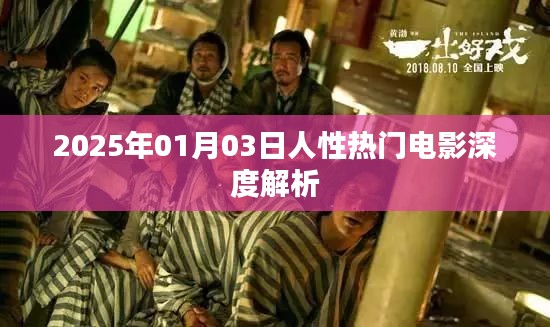 人性探索，深度解析一部熱門電影