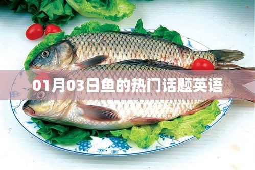 熱門話題英語，聚焦魚類世界，最新動態(tài)一網(wǎng)打盡！