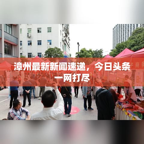 漳州最新新聞速遞，今日頭條一網(wǎng)打盡