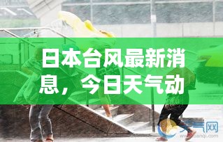 日本臺(tái)風(fēng)最新消息，今日天氣動(dòng)態(tài)及影響報(bào)告