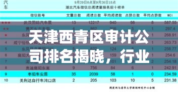 天津西青區(qū)審計(jì)公司排名揭曉，行業(yè)影響力榜單重磅出爐！