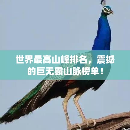 世界最高山峰排名，震撼的巨無霸山脈榜單！