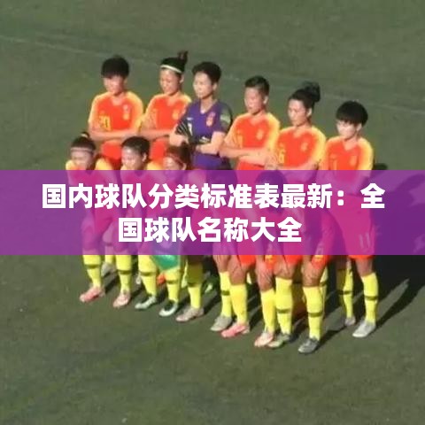 國內(nèi)球隊(duì)分類標(biāo)準(zhǔn)表最新：全國球隊(duì)名稱大全 