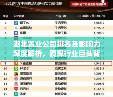 湖北置業(yè)公司排名及影響力深度解析，窺探行業(yè)巨頭背后的力量