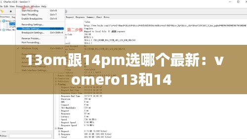 13om跟14pm選哪個(gè)最新：vomero13和14 