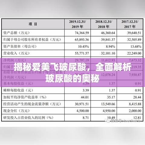 揭秘愛美飛玻尿酸，全面解析玻尿酸的奧秘