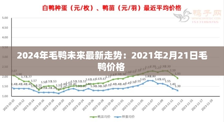 2024年毛鴨未來(lái)最新走勢(shì)：2021年2月21日毛鴨價(jià)格 