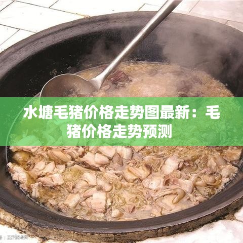 水塘毛豬價格走勢圖最新：毛豬價格走勢預(yù)測 