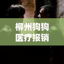 柳州狗狗醫(yī)療報銷政策最新：柳州哪個寵物醫(yī)院便宜 