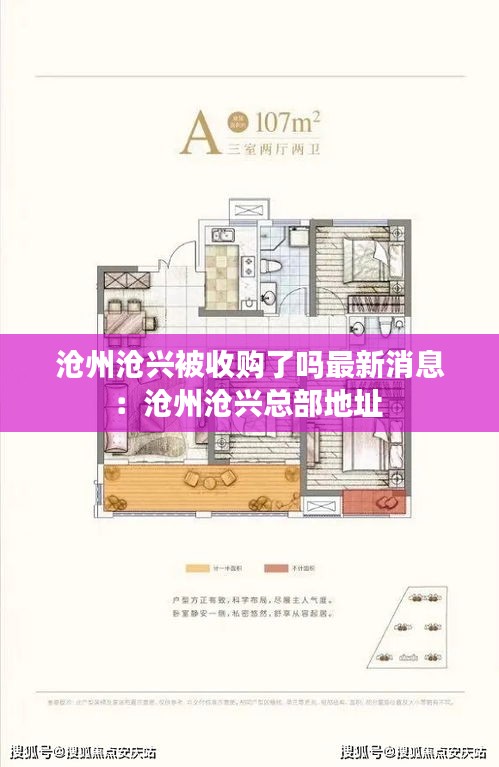 滄州滄興被收購(gòu)了嗎最新消息：滄州滄興總部地址 