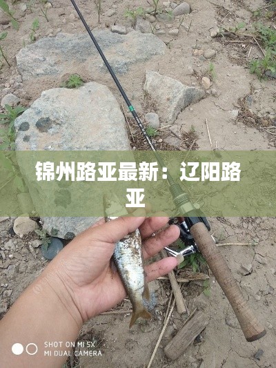 錦州路亞最新：遼陽(yáng)路亞 