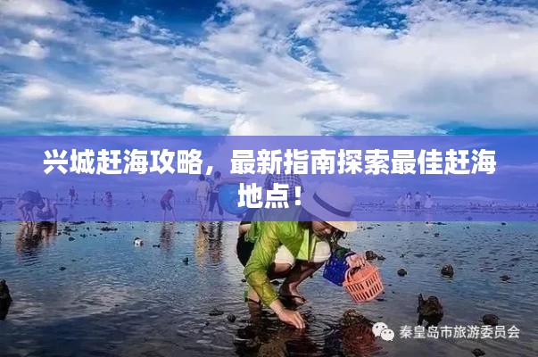 興城趕海攻略，最新指南探索最佳趕海地點(diǎn)！