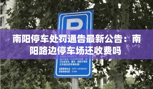 南陽停車處罰通告最新公告：南陽路邊停車場(chǎng)還收費(fèi)嗎 
