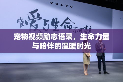 寵物視頻勵志語錄，生命力量與陪伴的溫暖時光