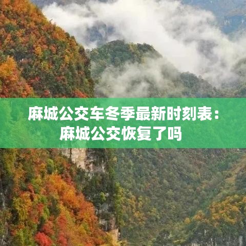 麻城公交車冬季最新時刻表：麻城公交恢復(fù)了嗎 