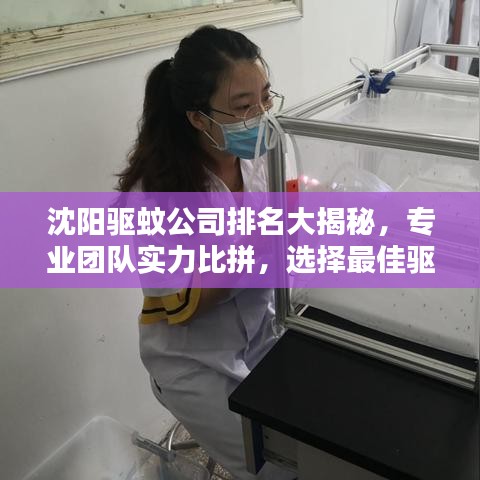 沈陽(yáng)驅(qū)蚊公司排名大揭秘，專業(yè)團(tuán)隊(duì)實(shí)力比拼，選擇最佳驅(qū)蚊服務(wù)！