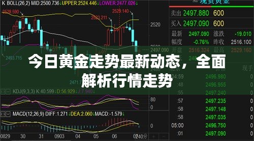 今日黃金走勢最新動態(tài)，全面解析行情走勢