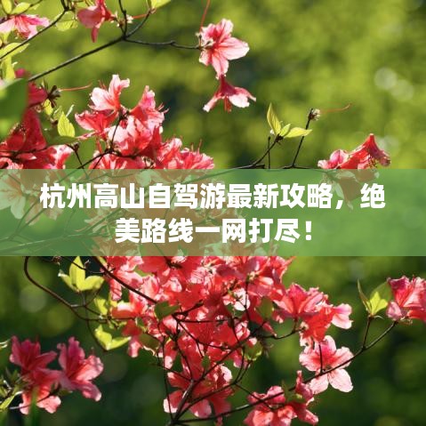 杭州高山自駕游最新攻略，絕美路線一網(wǎng)打盡！
