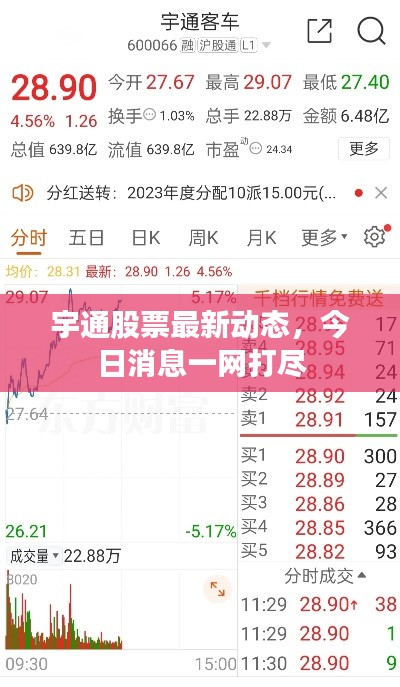 宇通股票最新動(dòng)態(tài)，今日消息一網(wǎng)打盡