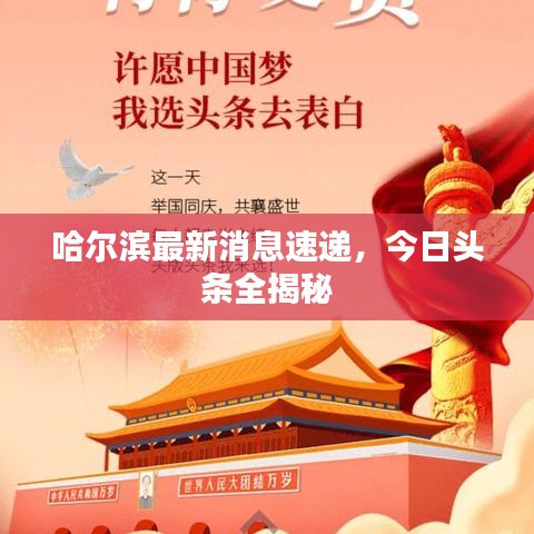 哈爾濱最新消息速遞，今日頭條全揭秘