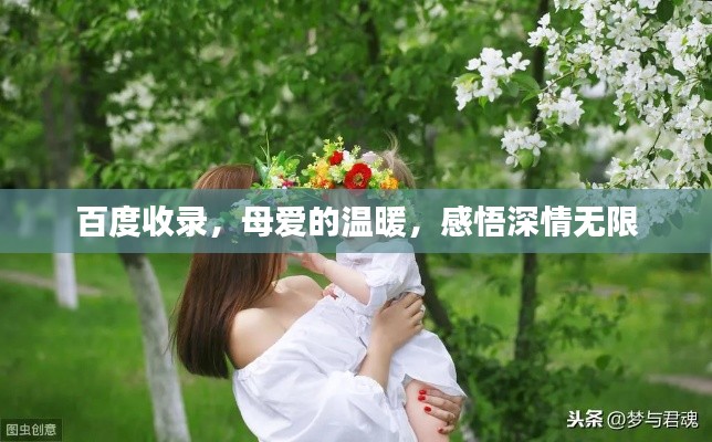 百度收錄，母愛的溫暖，感悟深情無限