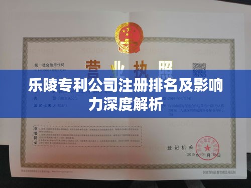 樂(lè)陵專(zhuān)利公司注冊(cè)排名及影響力深度解析