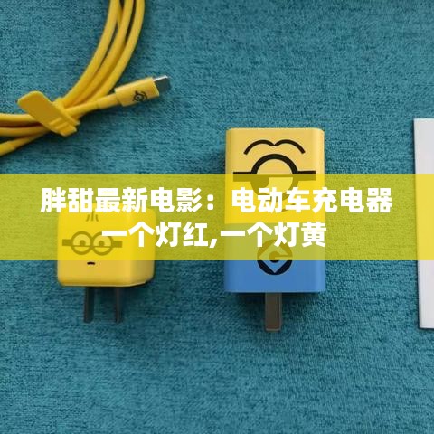 胖甜最新電影：電動(dòng)車充電器一個(gè)燈紅,一個(gè)燈黃 