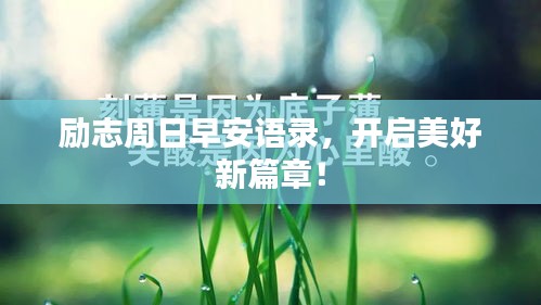 勵(lì)志周日早安語(yǔ)錄，開啟美好新篇章！