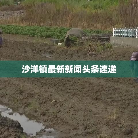 沙洋鎮(zhèn)最新新聞?lì)^條速遞