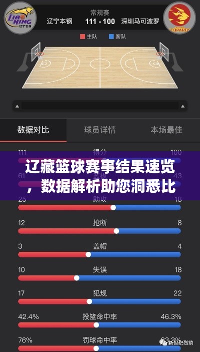 遼藏籃球賽事結(jié)果速覽，數(shù)據(jù)解析助您洞悉比賽動態(tài)