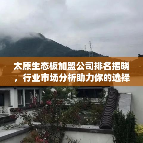 太原生態(tài)板加盟公司排名揭曉，行業(yè)市場(chǎng)分析助力你的選擇！
