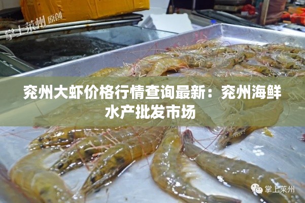 兗州大蝦價(jià)格行情查詢最新：兗州海鮮水產(chǎn)批發(fā)市場(chǎng) 