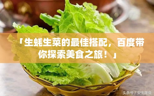 「生蠔生菜的最佳搭配，百度帶你探索美食之旅！」
