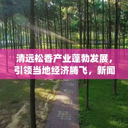 清遠(yuǎn)松香產(chǎn)業(yè)蓬勃發(fā)展，引領(lǐng)當(dāng)?shù)亟?jīng)濟(jì)騰飛，新聞?lì)^條揭秘松香魅力