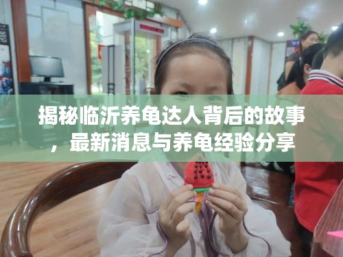 揭秘臨沂養(yǎng)龜達(dá)人背后的故事，最新消息與養(yǎng)龜經(jīng)驗(yàn)分享