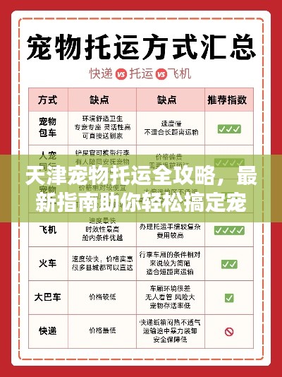 天津?qū)櫸锿羞\(yùn)全攻略，最新指南助你輕松搞定寵物出行！