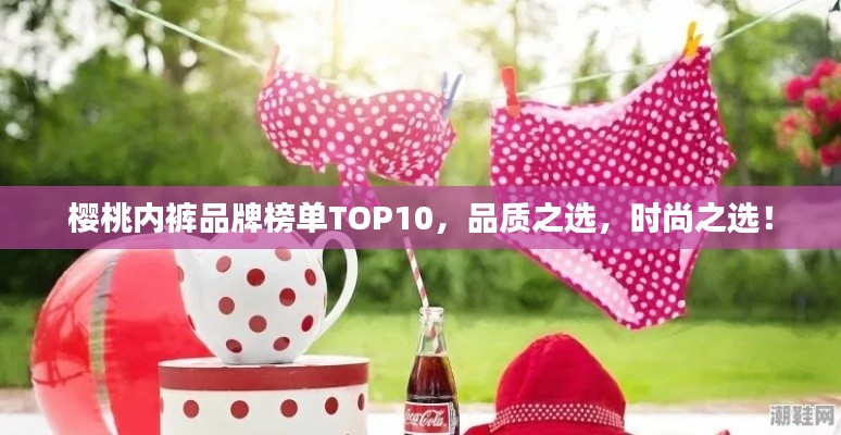櫻桃內(nèi)褲品牌榜單TOP10，品質(zhì)之選，時(shí)尚之選！