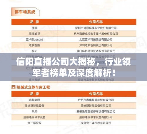 信陽(yáng)直播公司大揭秘，行業(yè)領(lǐng)軍者榜單及深度解析！