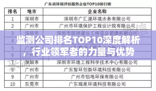 監(jiān)測公司排名TOP10深度解析，行業(yè)領(lǐng)軍者的力量與優(yōu)勢
