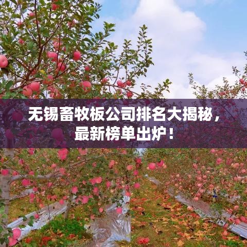 無(wú)錫畜牧板公司排名大揭秘，最新榜單出爐！