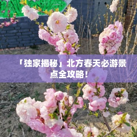 「獨(dú)家揭秘」北方春天必游景點(diǎn)全攻略！
